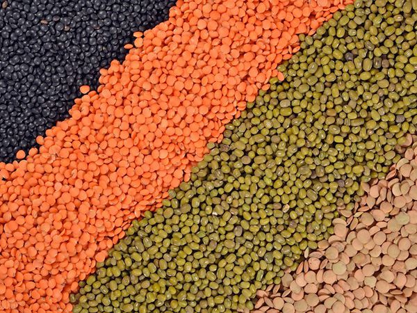 Sistemas industriales de mezcla para la industria de piensos