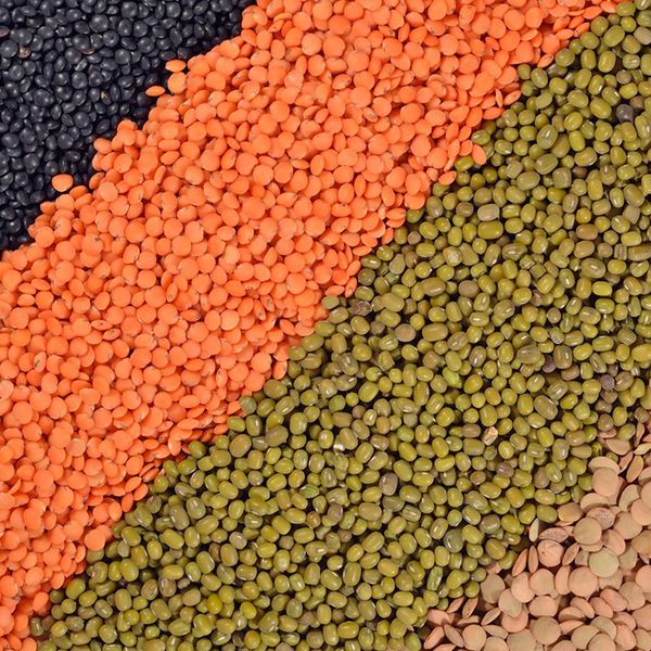 Sistemas industriales de mezcla para la industria de piensos