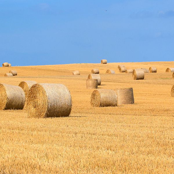 Equipos de mezcla de materiales a granel para la industria agrícola